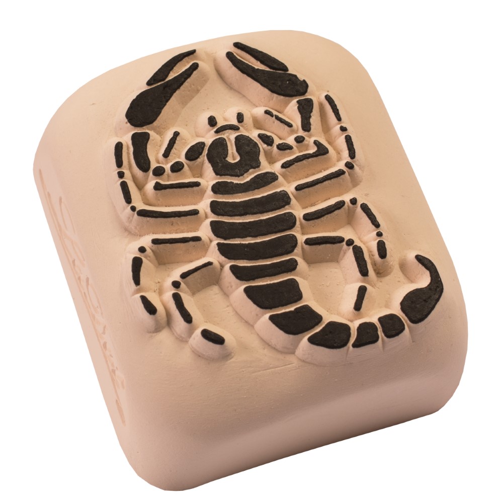 Temporary tattoo Scorpion